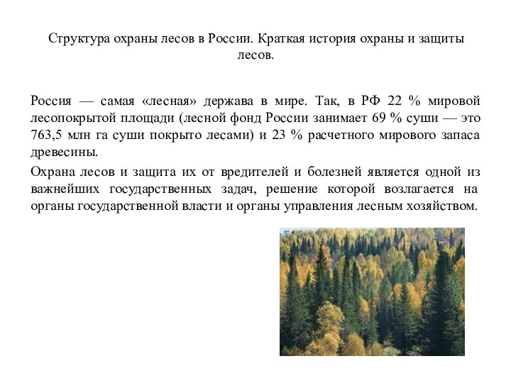 Структура охраны лесов в России. Краткая история охраны и защиты лесов. Россия