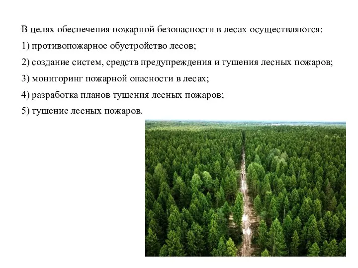 В целях обеспечения пожарной безопасности в лесах осуществляются: 1) противопожарное обустройство лесов;