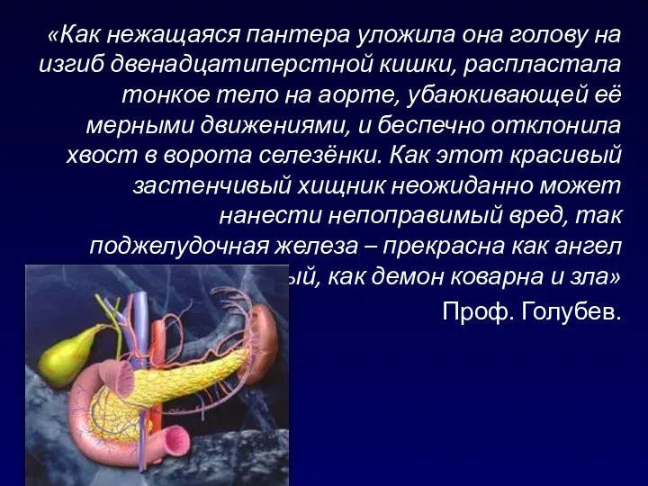 «Как нежащаяся пантера уложила она голову на изгиб двенадцатиперстной кишки, распластала тонкое