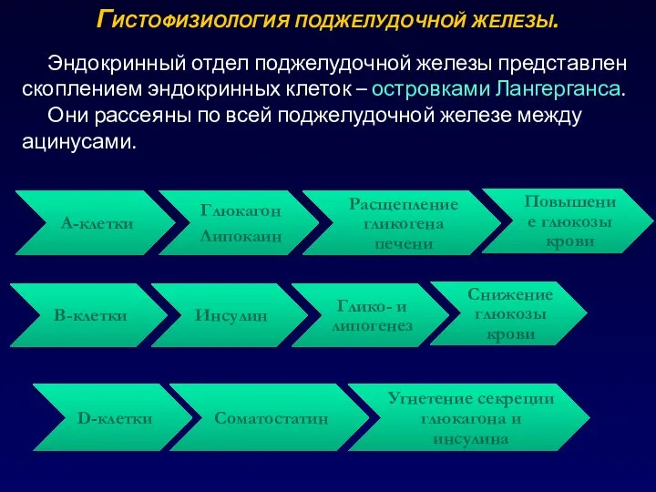 Гистофизиология поджелудочной железы. Эндокринный отдел поджелудочной железы представлен скоплением эндокринных клеток –