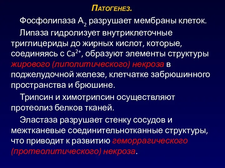 Фосфолипаза А2 разрушает мембраны клеток. Липаза гидролизует внутриклеточные триглицериды до жирных кислот,