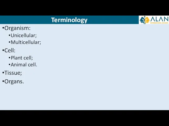 Organism: Unicellular; Multicellular; Cell: Plant cell; Animal cell. Tissue; Organs. Terminology