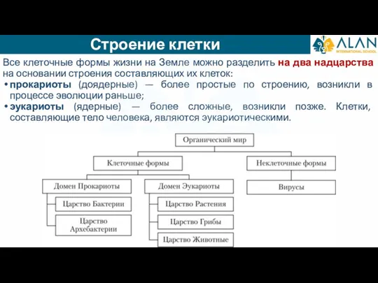 Все клеточные формы жизни на Земле можно разделить на два надцарства на