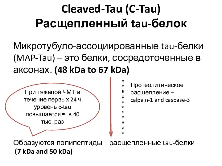 Cleaved-Tau (C-Tau) Расщепленный tau-белок Микротубуло-ассоциированные tau-белки (MAP-Tau) – это белки, сосредоточенные в