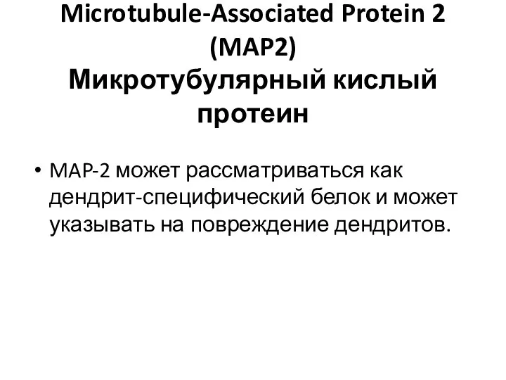 Microtubule-Associated Protein 2 (MAP2) Микротубулярный кислый протеин MAP-2 может рассматриваться как дендрит-специфический