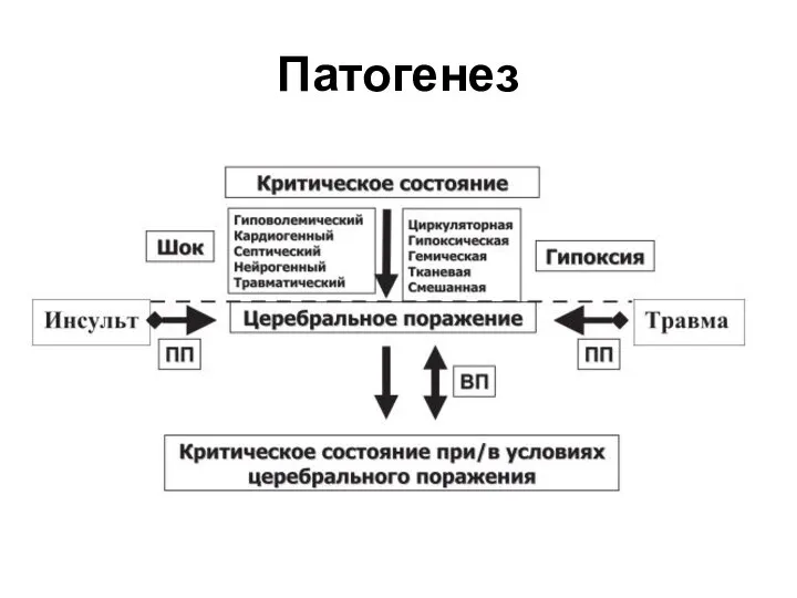 Патогенез