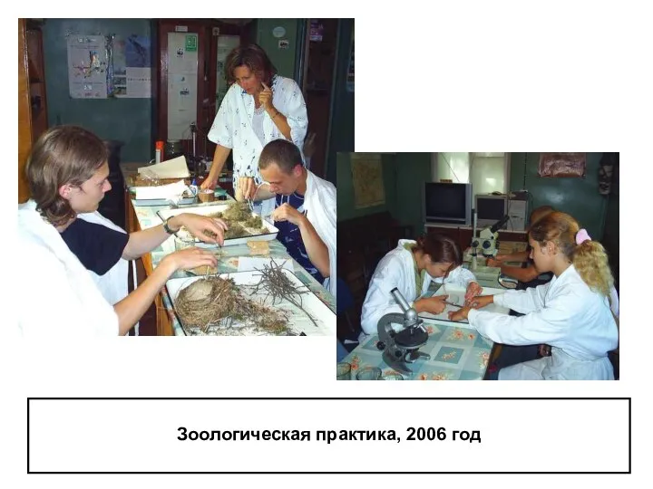 Зоологическая практика, 2006 год