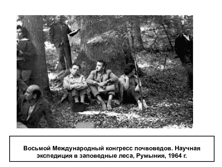 Восьмой Международный конгресс почвоведов. Научная экспедиция в заповедные леса, Румыния, 1964 г.