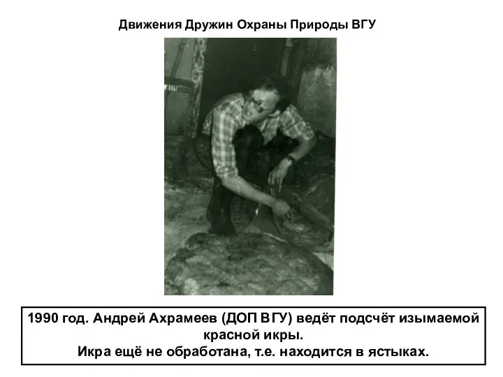 1990 год. Андрей Ахрамеев (ДОП ВГУ) ведёт подсчёт изымаемой красной икры. Икра