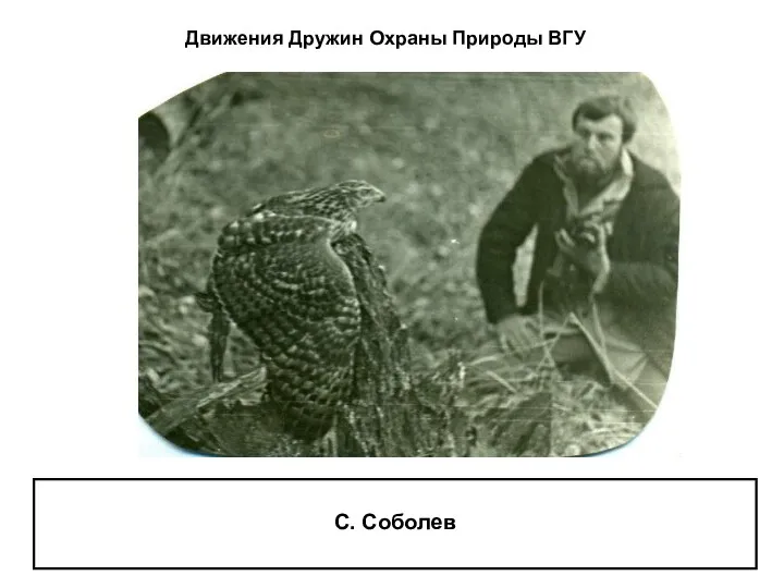 С. Соболев Движения Дружин Охраны Природы ВГУ