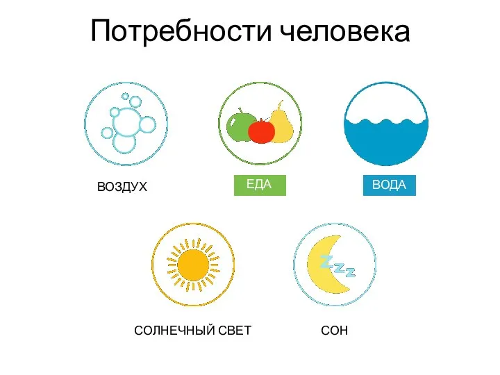 ВОЗДУХ ЕДА ВОДА СОЛНЕЧНЫЙ СВЕТ СОН Потребности человека