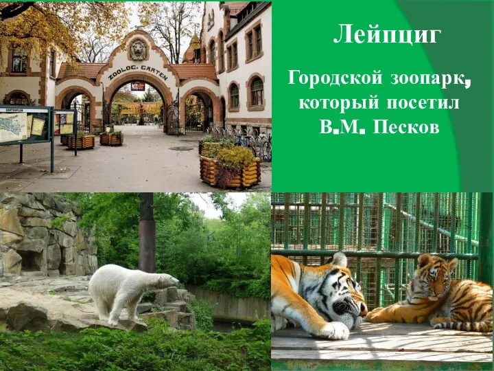 Лейпциг Городской зоопарк, который посетил В.М. Песков