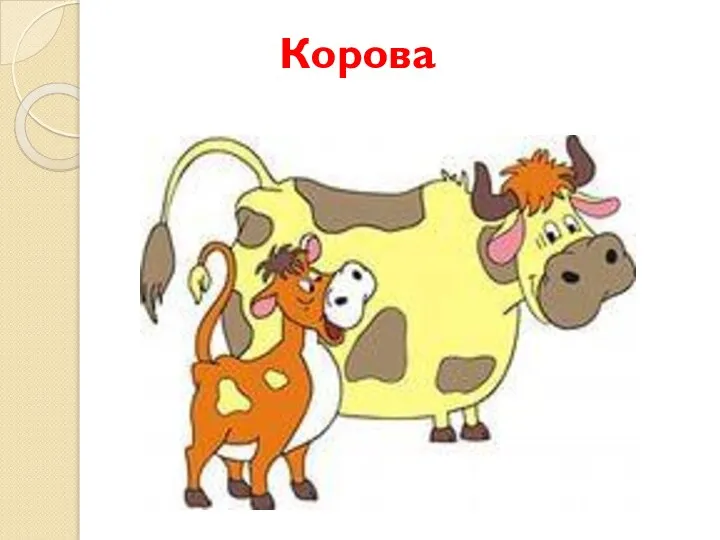 Корова