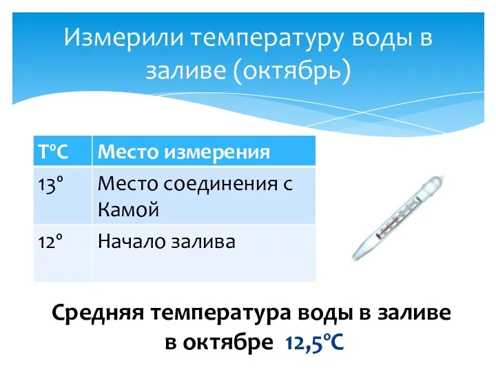 Измерили температуру воды в заливе (октябрь) Средняя температура воды в заливе в октябре 12,5ºС