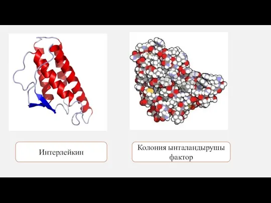 Интерлейкин Колония ынталандырушы фактор