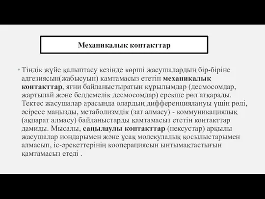 Тіндік жүйе қалыптасу кезінде көрші жасушалардың бір-біріне адгезиясын(жабысуын) камтамасыз ететін механикалық контакттар,