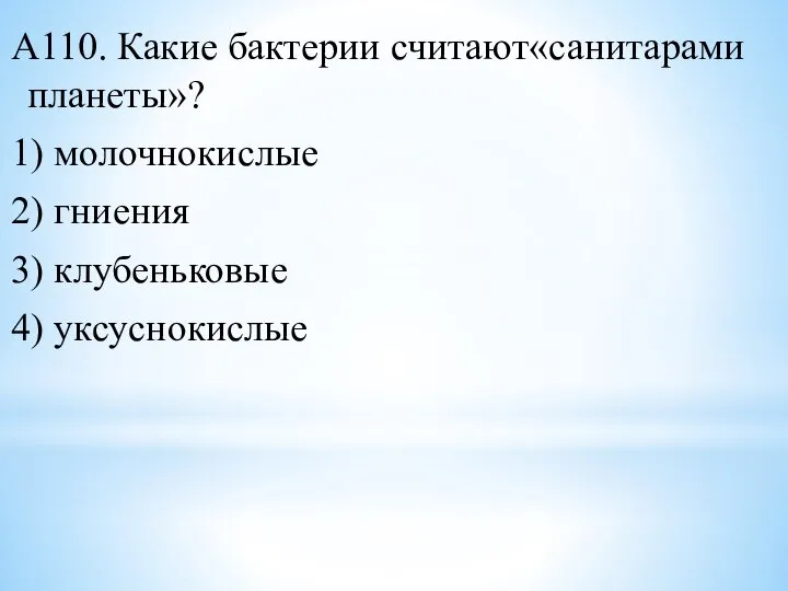 А110. Какие бактерии считают«санитарами планеты»? 1) молочнокислые 2) гниения 3) клубеньковые 4) уксуснокислые