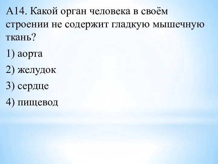 А14. Какой орган человека в своём строении не содержит гладкую мышечную ткань?