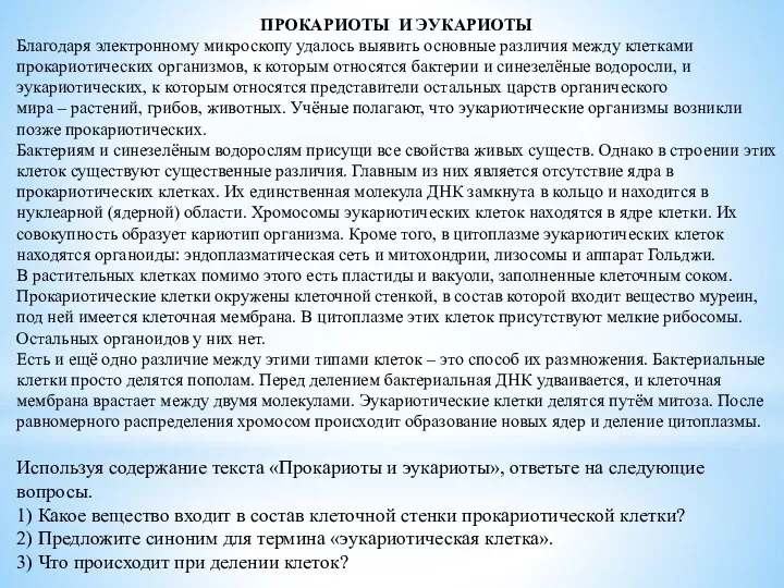 ПРОКАРИОТЫ И ЭУКАРИОТЫ Благодаря электронному микроскопу удалось выявить основные различия между клетками