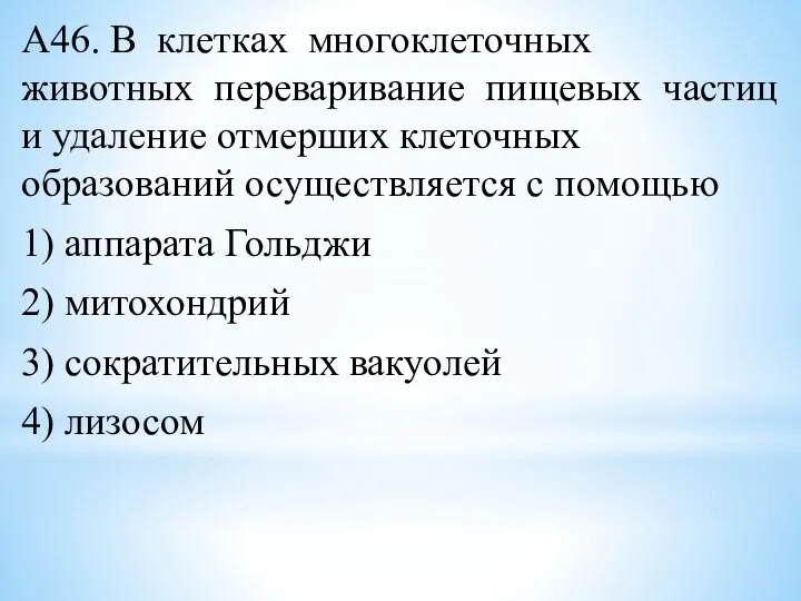 А46. В клетках многоклеточных животных переваривание пищевых частиц и удаление отмерших клеточных