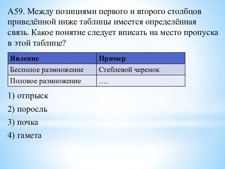 А59. Между позициями первого и второго столбцов приведённой ниже таблицы имеется определённая