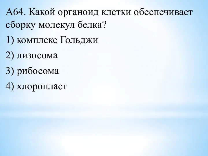 А64. Какой органоид клетки обеспечивает сборку молекул белка? 1) комплекс Гольджи 2)