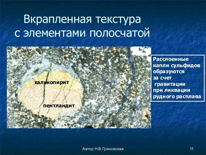 Автор Н.В.Грановская Вкрапленная текстура с элементами полосчатой Расслоенные капли сульфидов образуются за