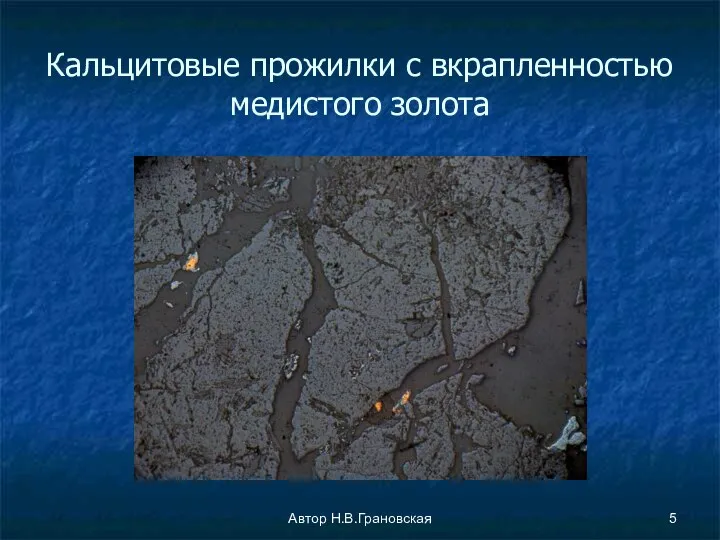 Автор Н.В.Грановская Кальцитовые прожилки с вкрапленностью медистого золота