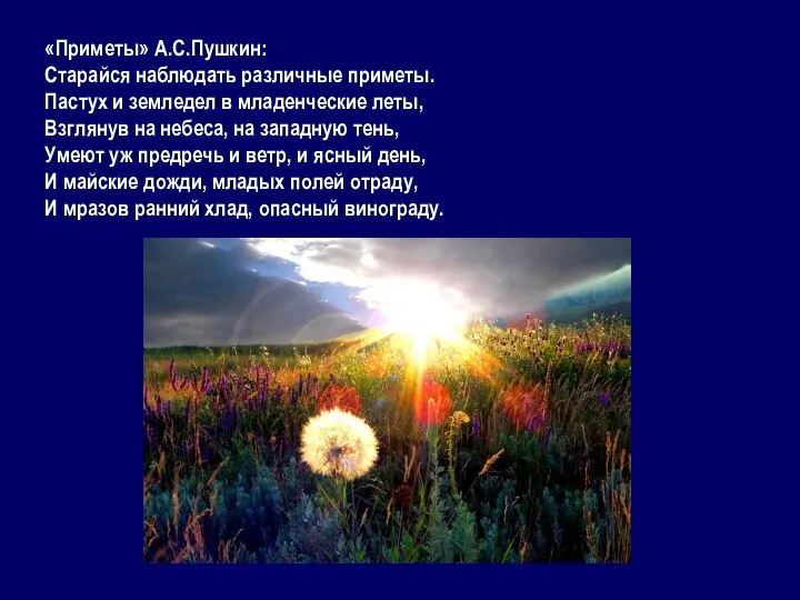 «Приметы» А.С.Пушкин: Старайся наблюдать различные приметы. Пастух и земледел в младенческие леты,