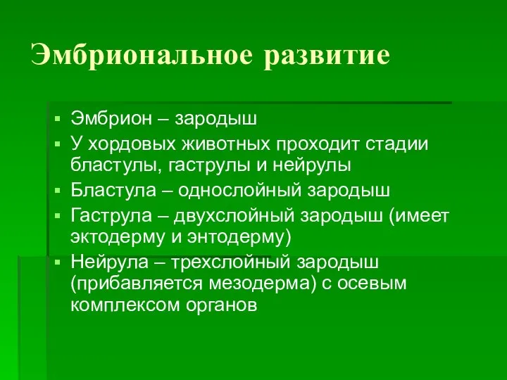 Эмбриональное развитие Эмбрион – зародыш У хордовых животных проходит стадии бластулы, гаструлы