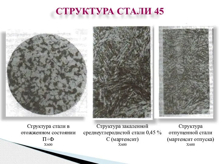 СТРУКТУРА СТАЛИ 45 Структура стали в отожженном состоянии П+Ф X600 Структура закаленной