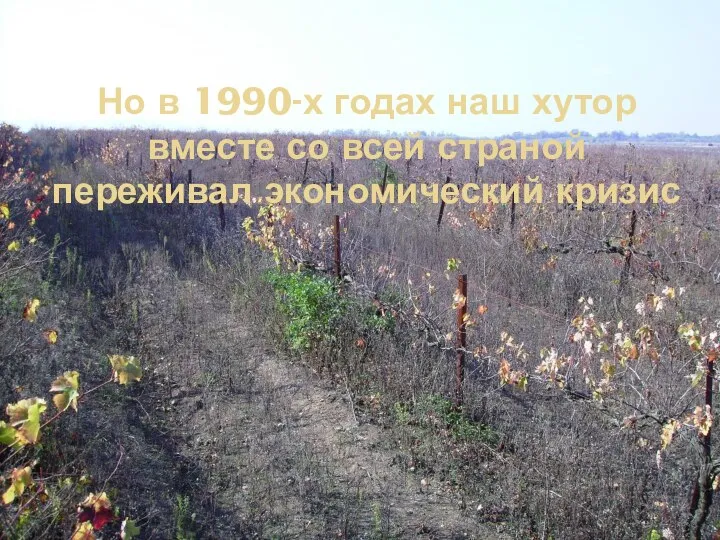 Но в 1990-х годах наш хутор вместе со всей страной переживал экономический кризис