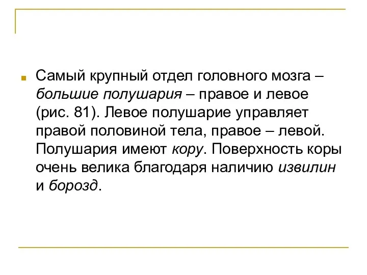 Самый крупный отдел головного мозга – большие полушария – правое и левое