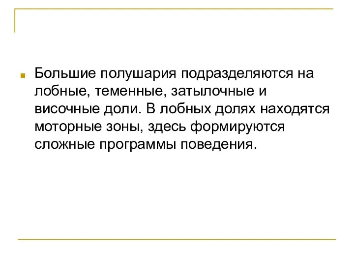 Большие полушария подразделяются на лобные, теменные, затылочные и височные доли. В лобных