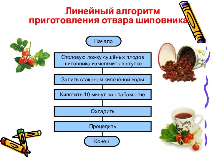 Начало Столовую ложку сушёных плодов шиповника измельчить в ступке Залить стаканом кипячёной