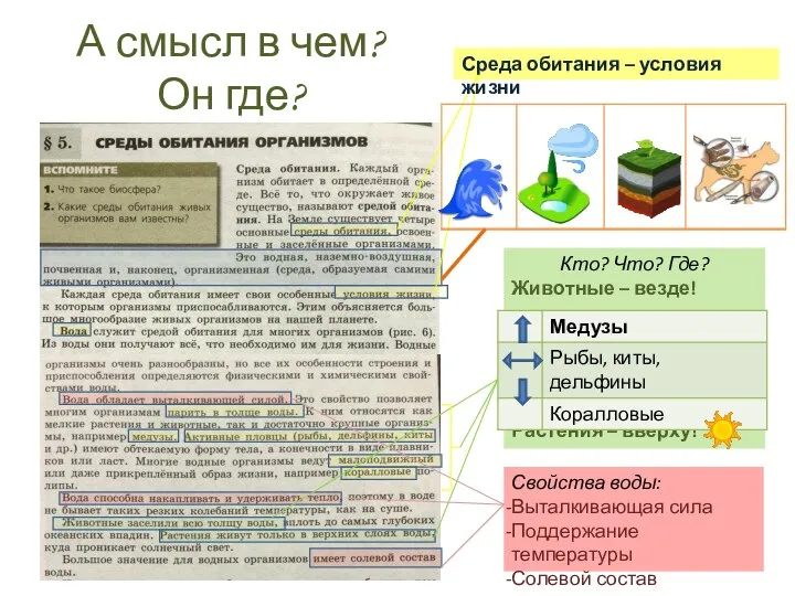 А смысл в чем? Он где? Среда обитания – условия жизни Свойства