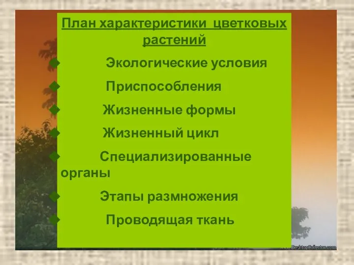 План характеристики цветковых растений Экологические условия Приспособления Жизненные формы Жизненный цикл Специализированные