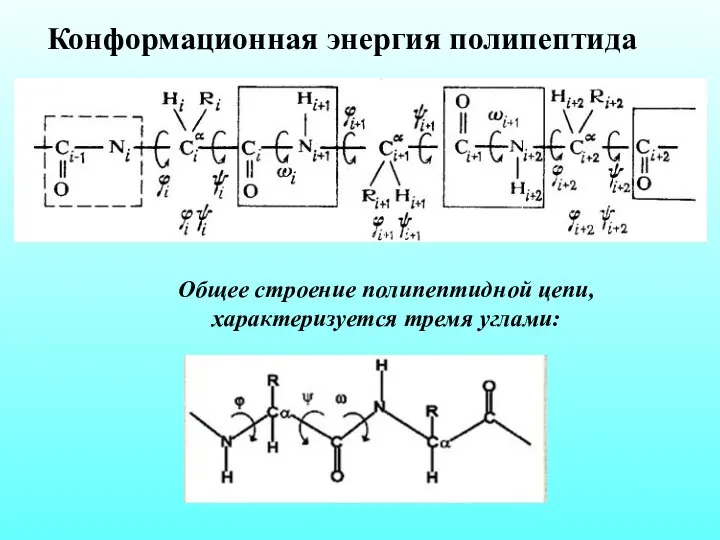 Конформационная энергия полипептида Общее строение полипептидной цепи, характеризуется тремя углами: