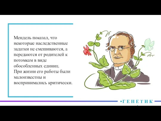 Мендель показал, что некоторые наследственные задатки не смешиваются, а передаются от родителей