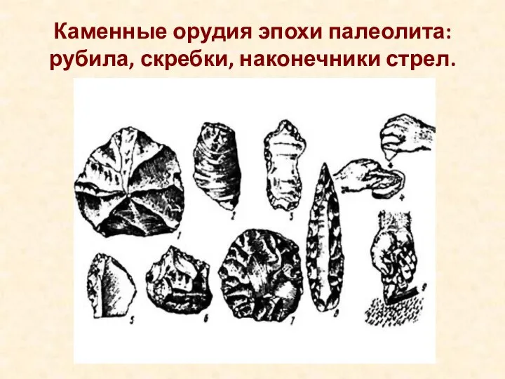 Каменные орудия эпохи палеолита: рубила, скребки, наконечники стрел.