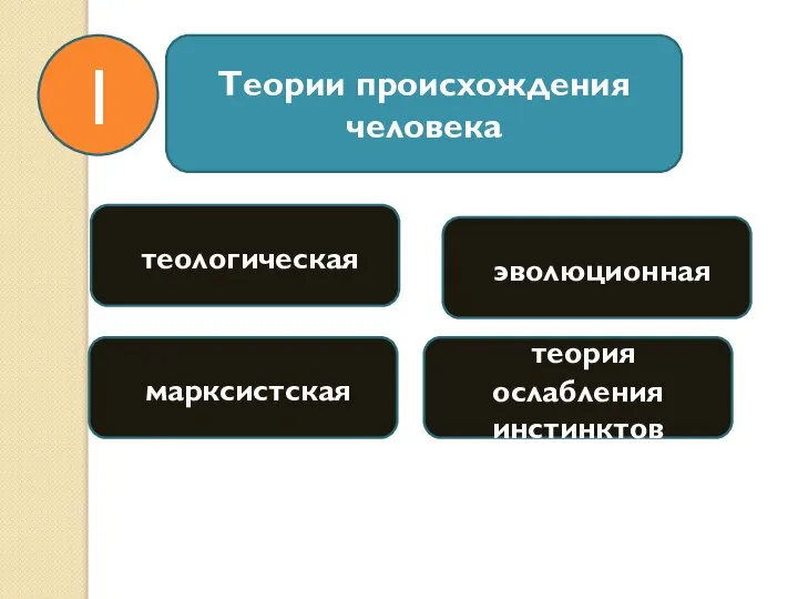 Теории происхождения человека теологическая марксистская эволюционная теория ослабления инстинктов 1