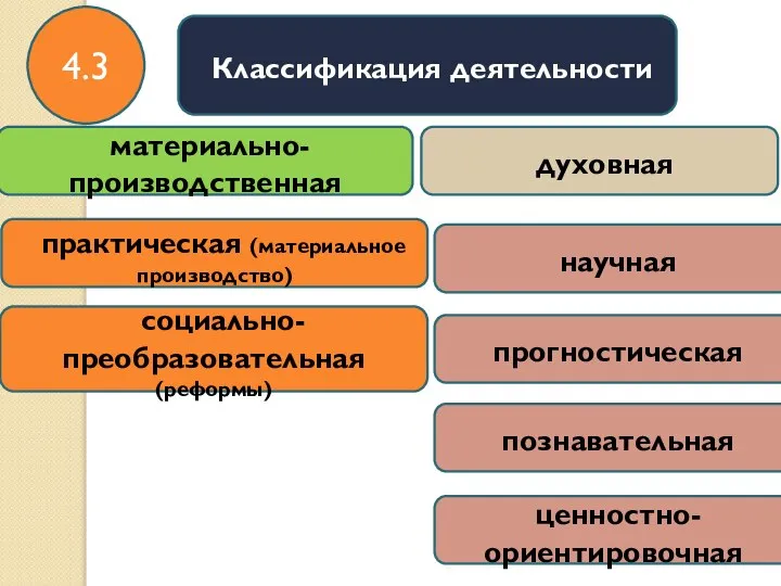 Классификация деятельности материально-производственная духовная практическая (материальное производство) социально-преобразовательная (реформы) научная прогностическая познавательная ценностно-ориентировочная 4.3