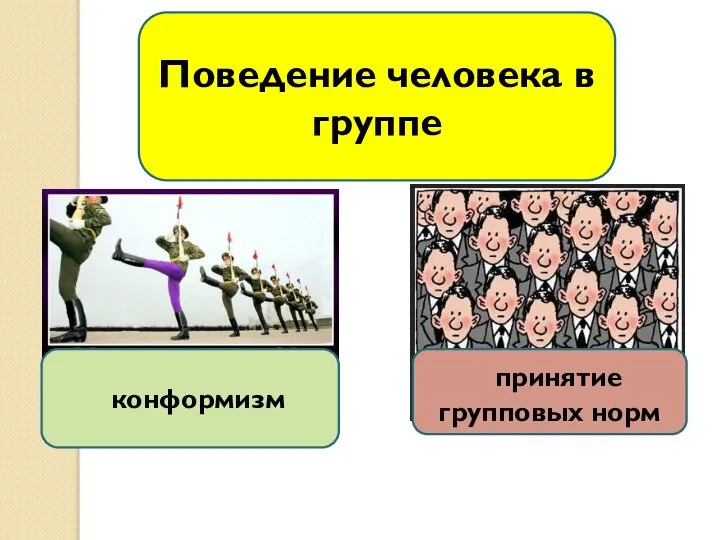 Поведение человека в группе конформизм принятие групповых норм