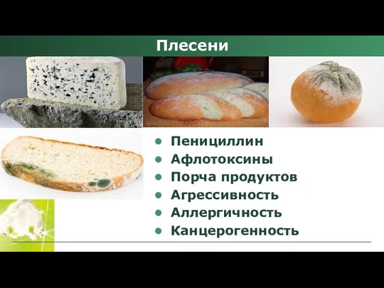 Пенициллин Афлотоксины Порча продуктов Агрессивность Аллергичность Канцерогенность Плесени