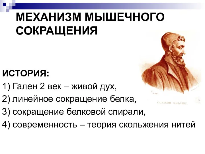 МЕХАНИЗМ МЫШЕЧНОГО СОКРАЩЕНИЯ ИСТОРИЯ: 1) Гален 2 век – живой дух, 2)