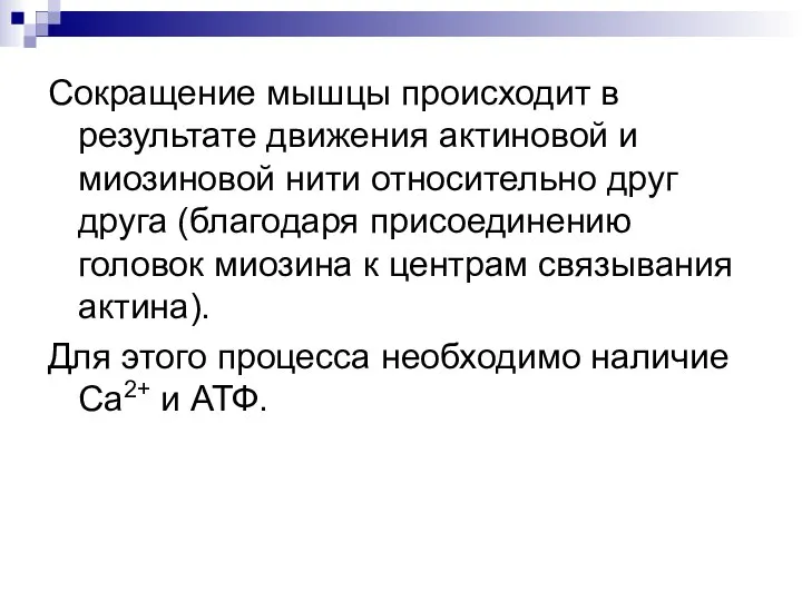 Сокращение мышцы происходит в результате движения актиновой и миозиновой нити относительно друг