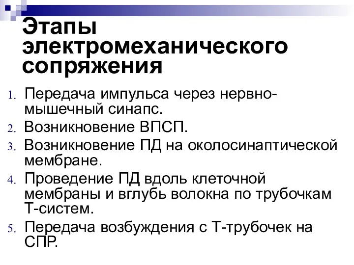 Этапы электромеханического сопряжения Передача импульса через нервно-мышечный синапс. Возникновение ВПСП. Возникновение ПД