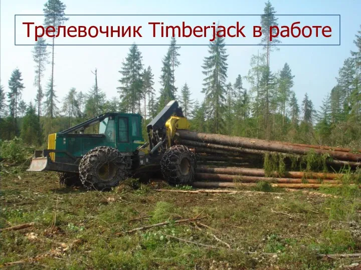 Трелевочник Timberjack в работе Трелевочник Timberjack в работе