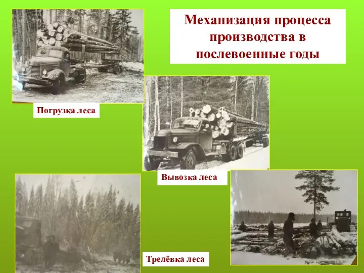 Погрузка леса Вывозка леса Механизация процесса производства в послевоенные годы Трелёвка леса