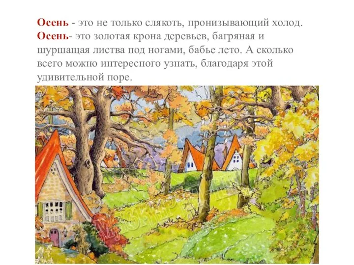 Осень - это не только слякоть, пронизывающий холод. Осень- это золотая крона